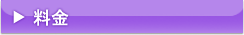 button_a244purple_09.png