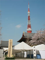 IMG_6253.jpg